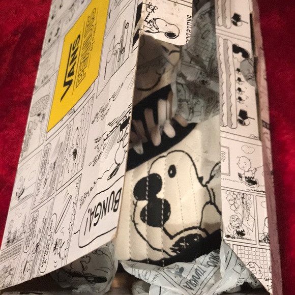 Vans Other - VANS X Peanuts: Hightops M 11.5